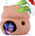 Betta Fish Tank Accessories, Pleco Caves by AMZbro%E3%80%90HouseUp%E3%80%91