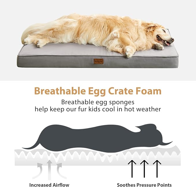 BFPETHOME Outdoor Dog Beds for Large Dogs, Waterproof Dog Bed for Medium - Image 5