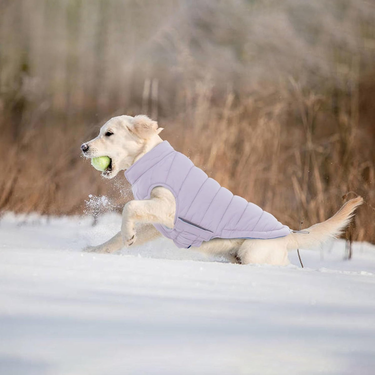 Lelepet Reversible Dog Coat Windproof Dog Puffer Jacket Lightweight Vest