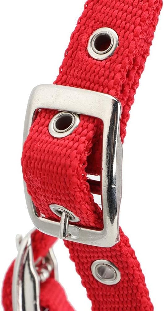 Horse Bridle Adjustable PP Headstall, Soft Cushion Red