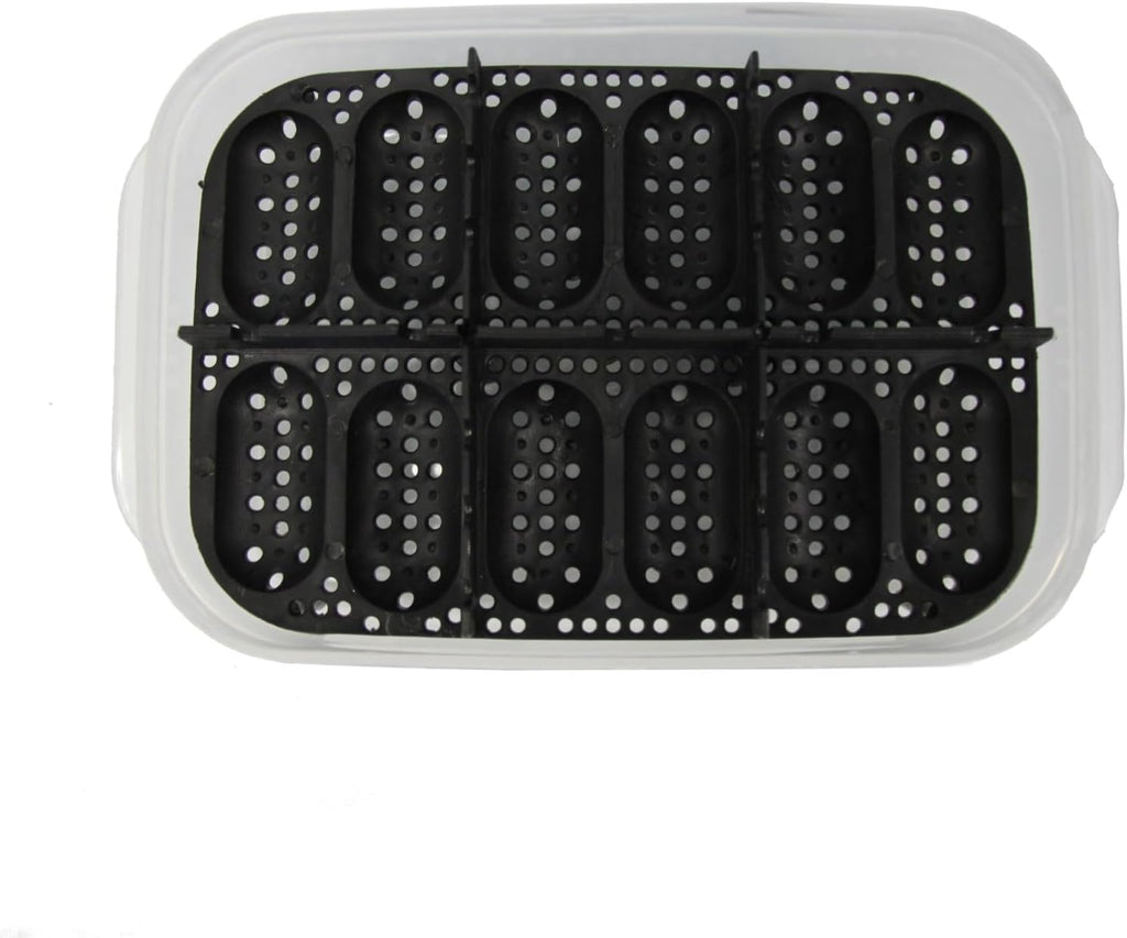 Gecko Egg Incubation Container with Built-in Tray – Holds 12 Eggs | Clear Polypropylene Box | Space-Saving Design | Suspended Incubation for Higher Hatch Rates