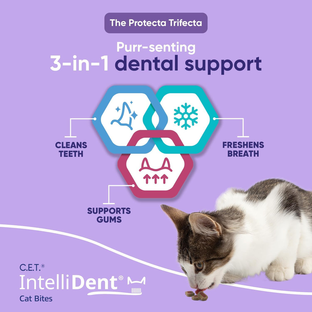 C.E.T. Intellident Cat Bites for Dental Care