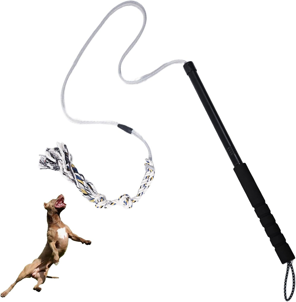 Flirt Pole for Dogs Interactive Dog Toys Durable Heavy Duty Dog Flirt Pole Suitable for Small and Medium Dogs Great Exercise and Training Tool Multifunction Dog Enrichment Toys