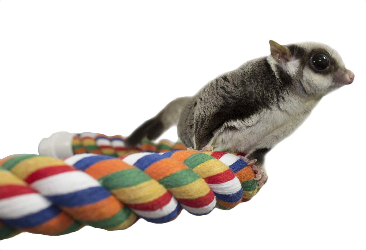 34 Inch Flex Rope (Large) - Bendable Fun Climbing Perch Cage Accessory Toy - Sugar Gliders, Squirrels, Degus, Marmosets, Monkeys, Parrots, Birds, Rats & Other Small Animals