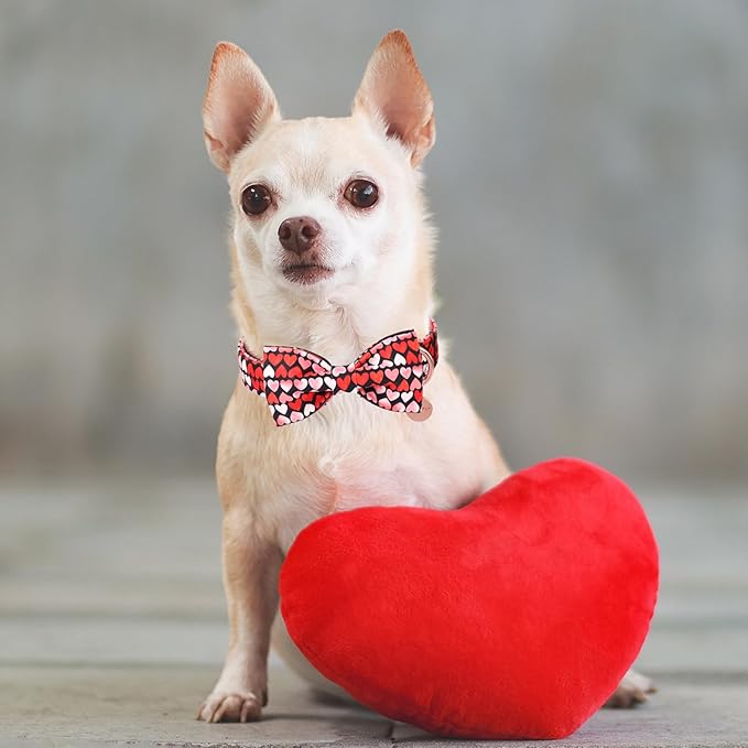 Valentine’s Day Dog Collar - Image 5