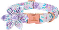 Lionheart Glory Dog Collar by LionheartGlory