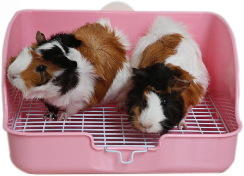 Rat Small Litter Box, 10"x8" Square Corner Litter Box Training Pan with Grid Potty Tray Toilet for Cage Small Animal/Rabbit/Guinea Pig/Bunny/Ferret (Blue)