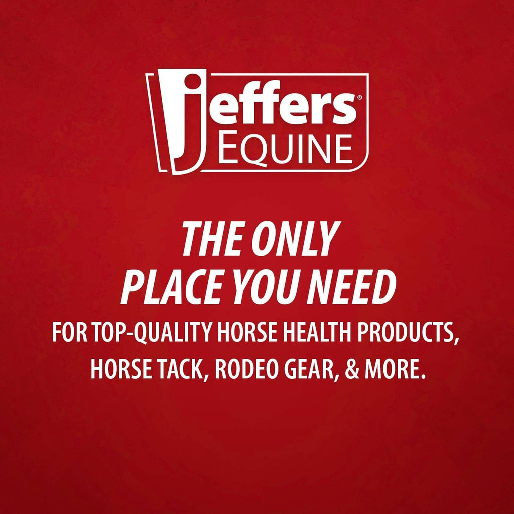 Jeffers Expression Top Loading Hay Bag for Horses & Livestock – Durable 600 Denier Hanging Hay Feeder, Water Resistant with Mesh Bottom, Easy Hanging Snap for Stall, Trailer, Travel, Equestrian Toile