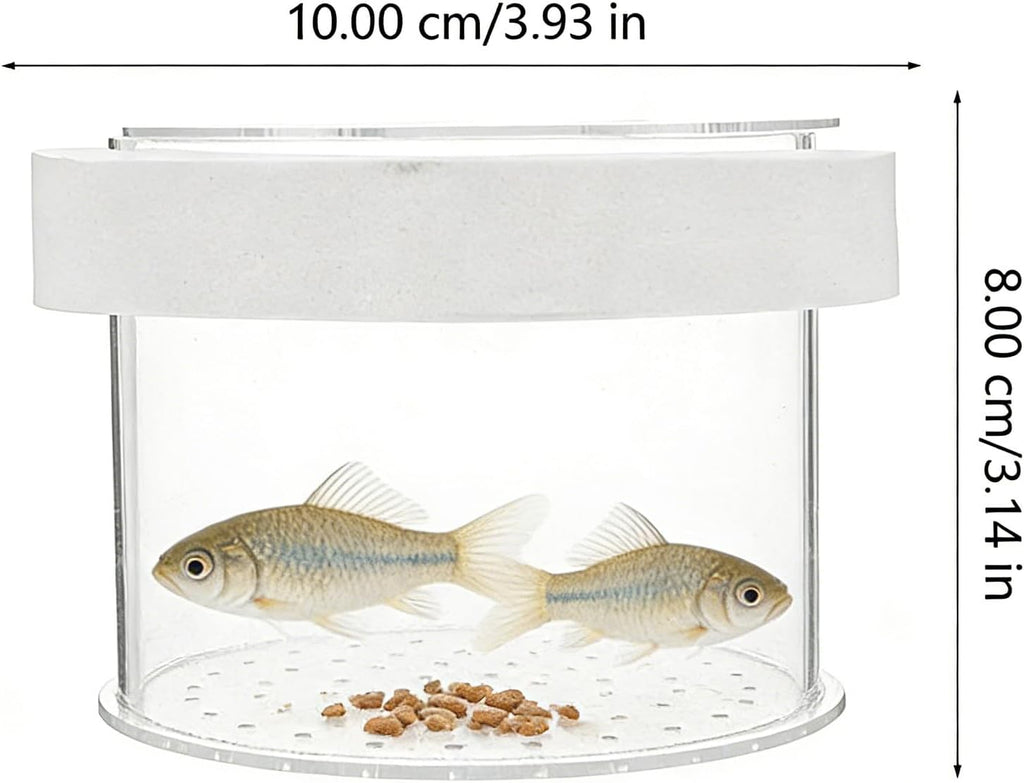 Ipetboom Floating Aquarium Breeding Box with Lid Fish Tank Separate Box for Guppy Fry Small Fish and Baby Transparent Nursery Isolation Container for Tank Separation and Breeding