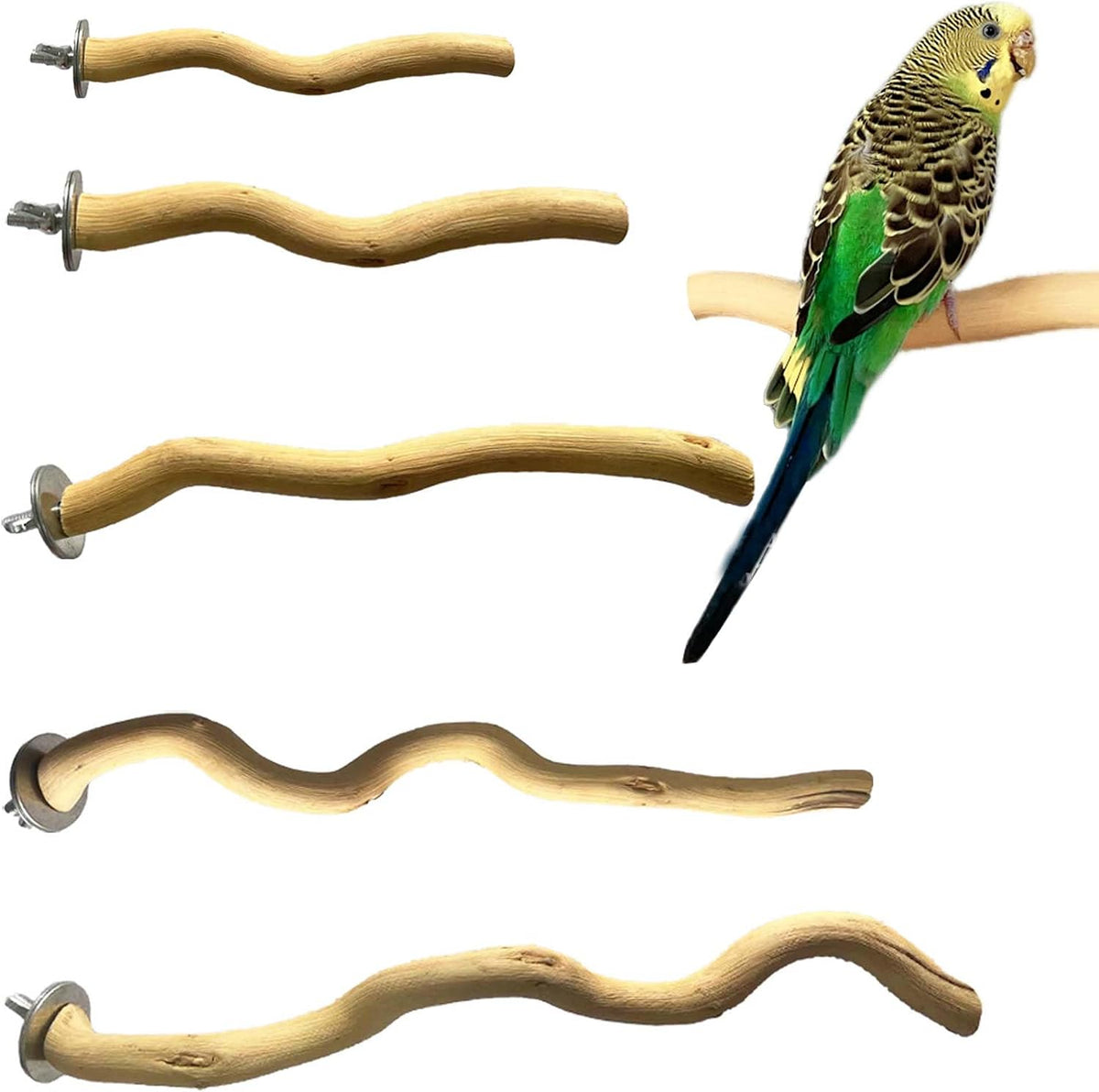 5 PCS Natural Parrot Perch Bird Stand Wooden Parrot Perch Stand Parakeet Climbing Standing Branches Toy for Small Lovebirds Budgies Cockatiels