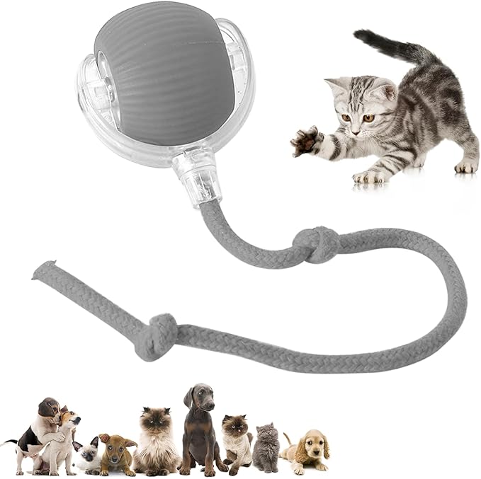 Chewie Viral Rolling Pet Ball, Interactive Cat & Dog Toy, 360 Smart Automatic - Image 9