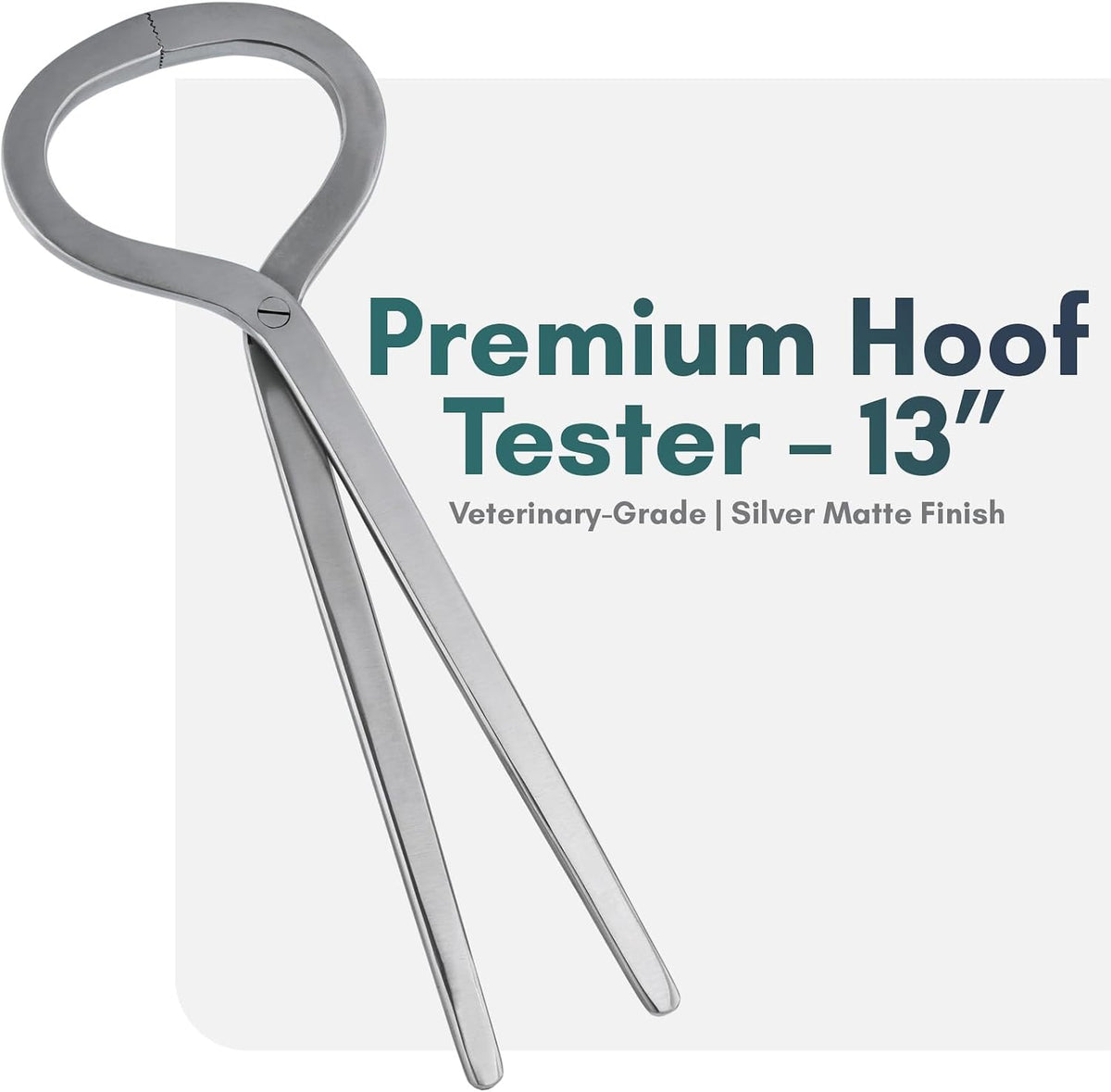 – Professional Hoof Tester 13” | Veterinary & Farrier Equine Hoof Care Tool | Stainless Steel, Corrosion-Resistant, Autoclavable, Durable for Horse Hoof Exams (Silver)