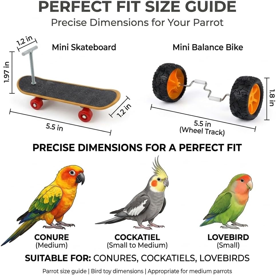 Bird Training Toys Set, 2 Piece Skateboard and Balance Bike for Parrots, Balance Training Accessories (Orange Wheel Core)