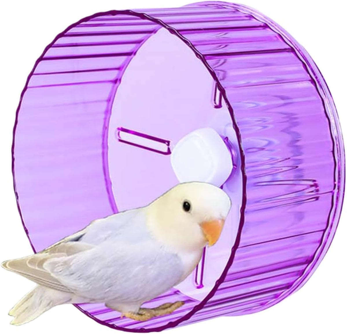 Bird Wheel Toy, Silent Parrot Exercise Wheel Interactive Rotating Toy for Small Medium Birds - Parakeets Cockatiels Conures Lovebirds Finches - Bird Cage Enrichment Accessory (L (8.3''D),Purple)