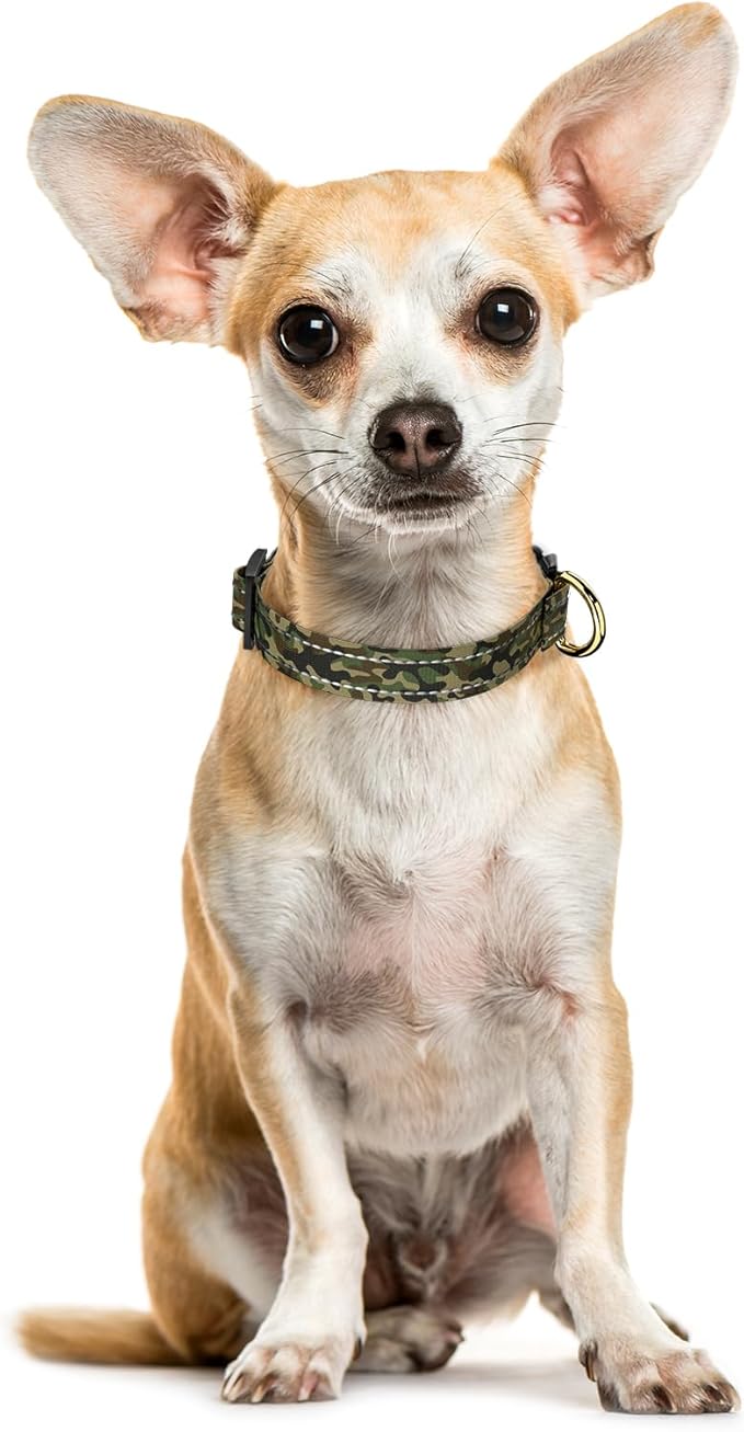 MOODEL Reflective Dog Collar for Extra Small Dogs Cats, Cute Camouflage - Image 2