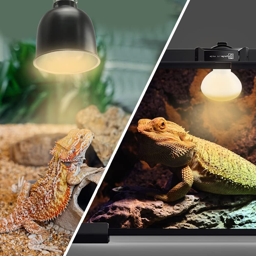 LUCKY HERP New Upgrade 3 Pack 100W Reptile Heat Lamp Bulb (3nd Gen, Safer), Amphibian UVA Heat Light Bulb, Reptile Basking Daylight Spot Lamp Bulb for Bearded Dragon, Lizard, Tortoise Heating Use