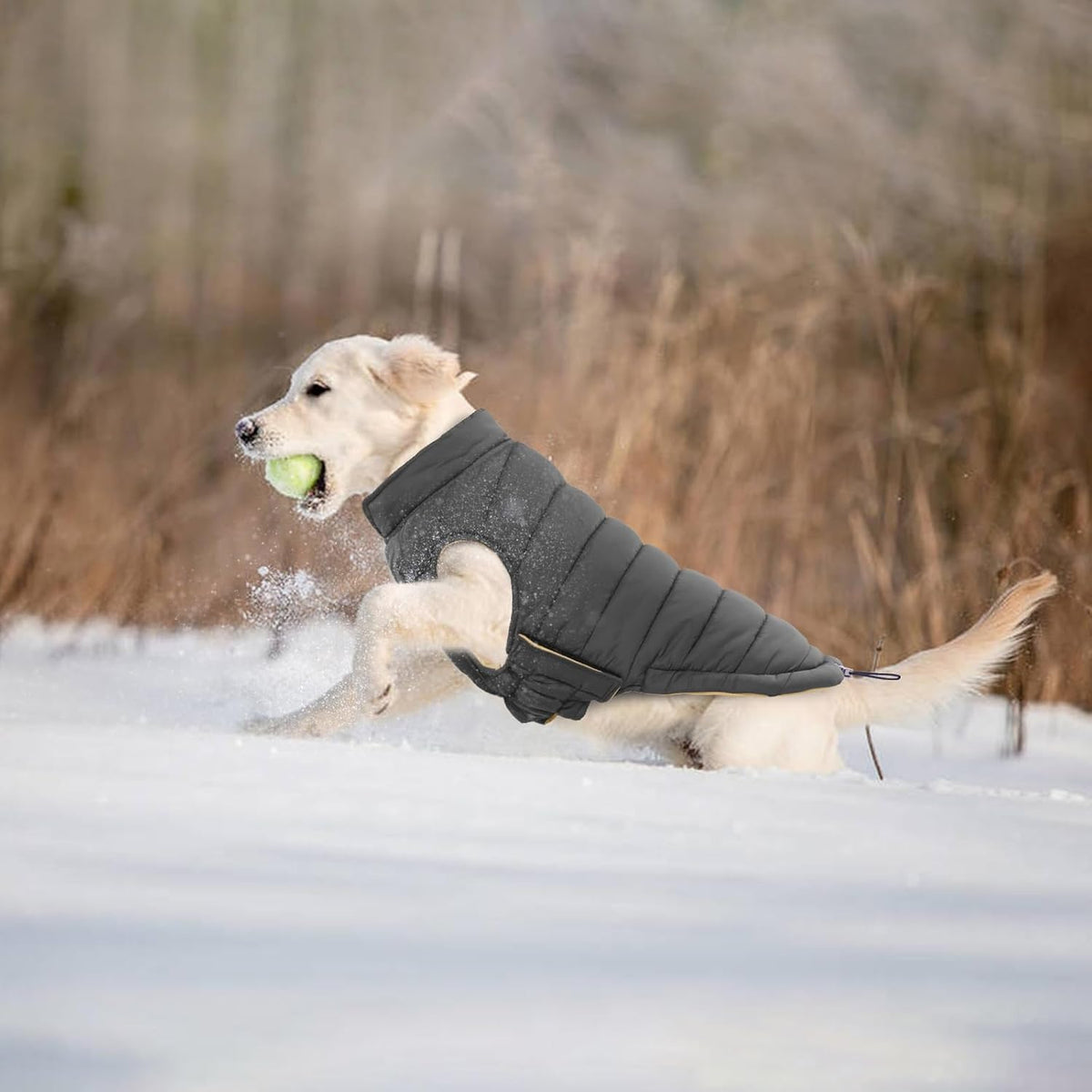Lelepet Reversible Dog Coat Windproof Dog Puffer Jacket Lightweight Vest