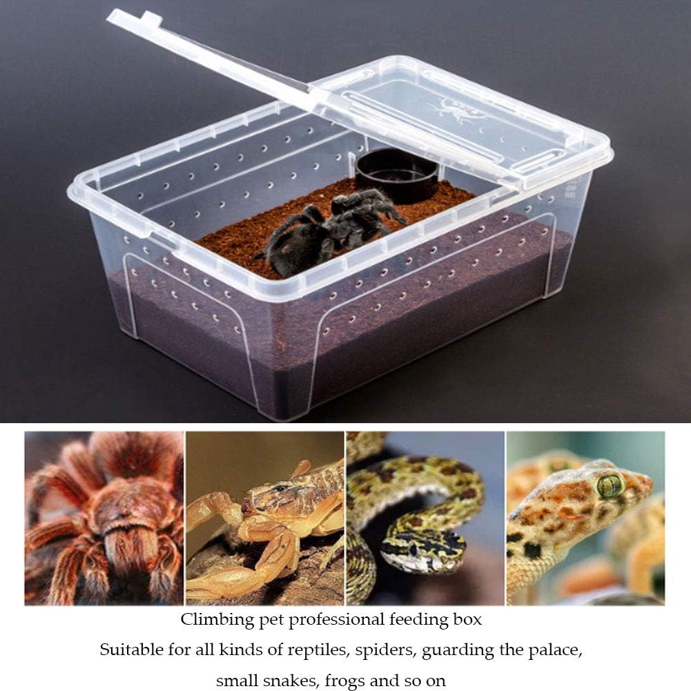Hamiledyi Reptile Feeding Box Tarantula Habitat Cage Hatching Container