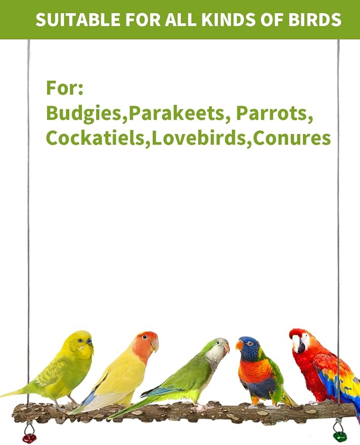 FlidRunest Bird Parrot Swing Toy, Natural Pepper Wood Bird Perch Stand - Image 6