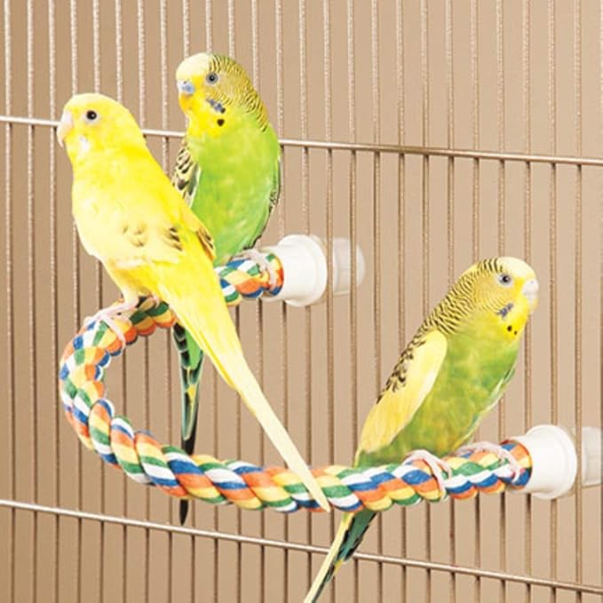 JW Pet Comfy Perch For Birds Flexible Multi-color Rope, Large - Image 4