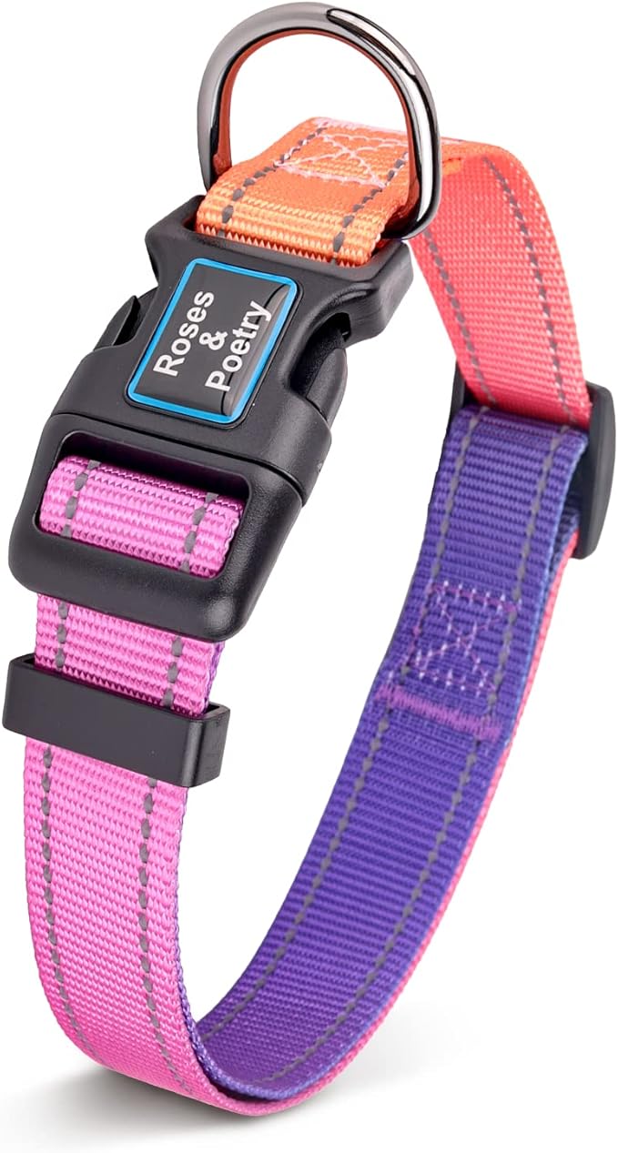 Roses&Poetry Reflective Dog Collar by RosesPoetry