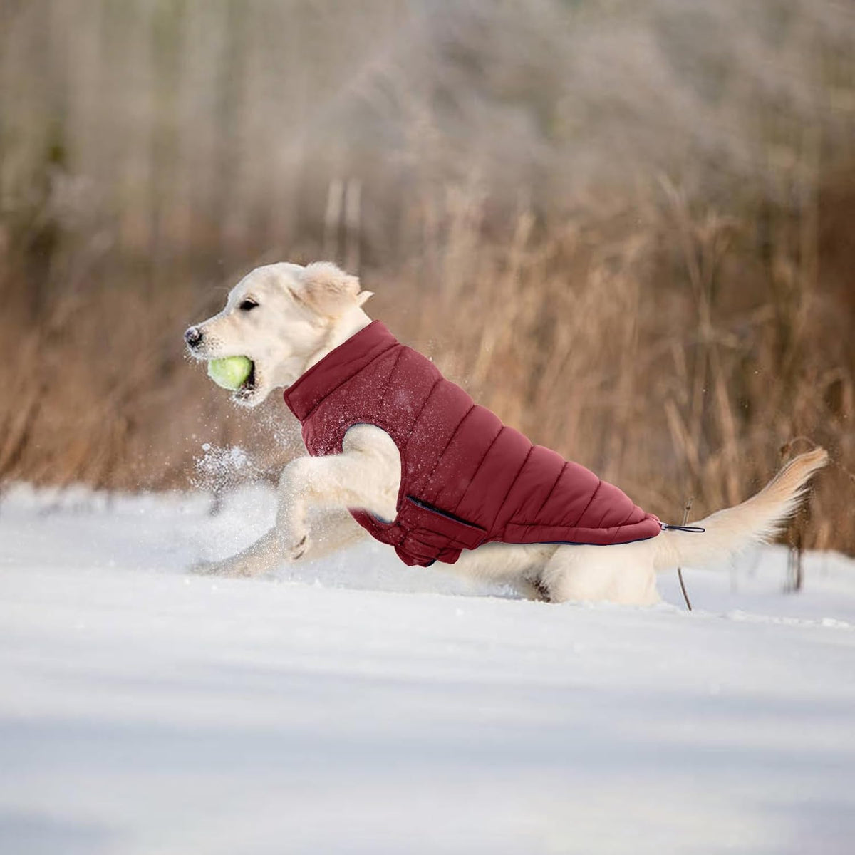 Lelepet Reversible Dog Coat Windproof Dog Jacket Lightweight Puffer Vest