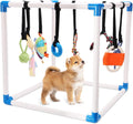 Indoor Puppy Play Gym for Small Dogs, 8 Toys Activity Center