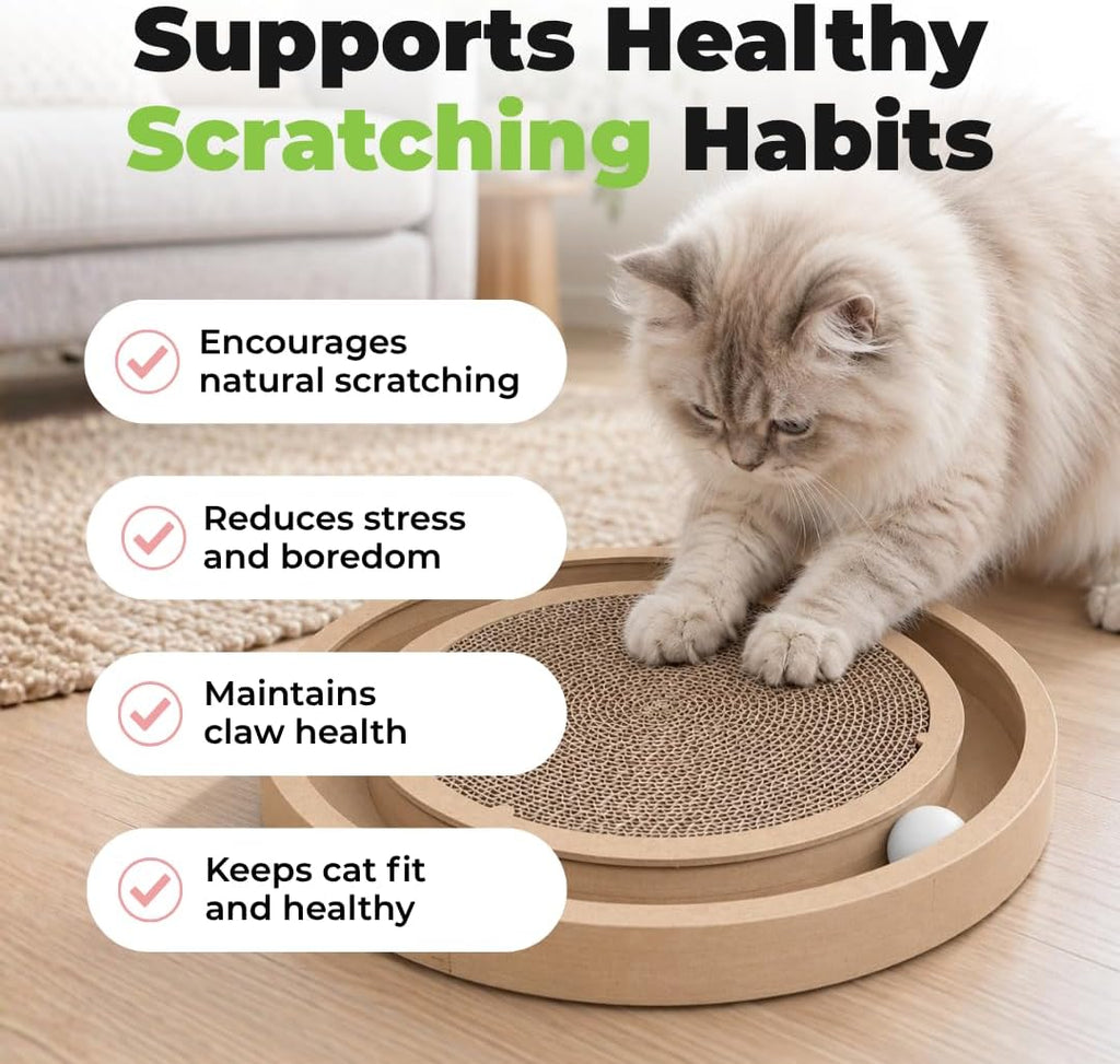 Catify Spin n' Scratch Interactive Cat Scratcher - Round