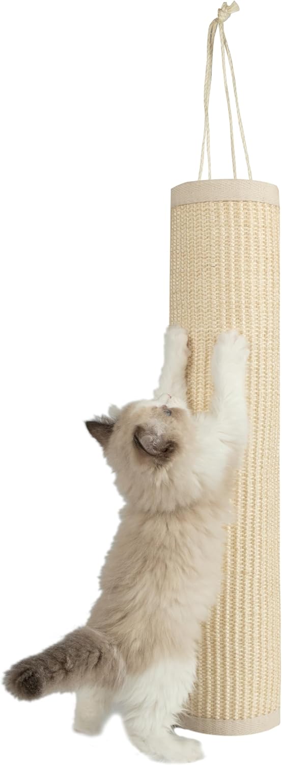 Best Pet Supplies Catify Cat Scratching Ramp - Gray