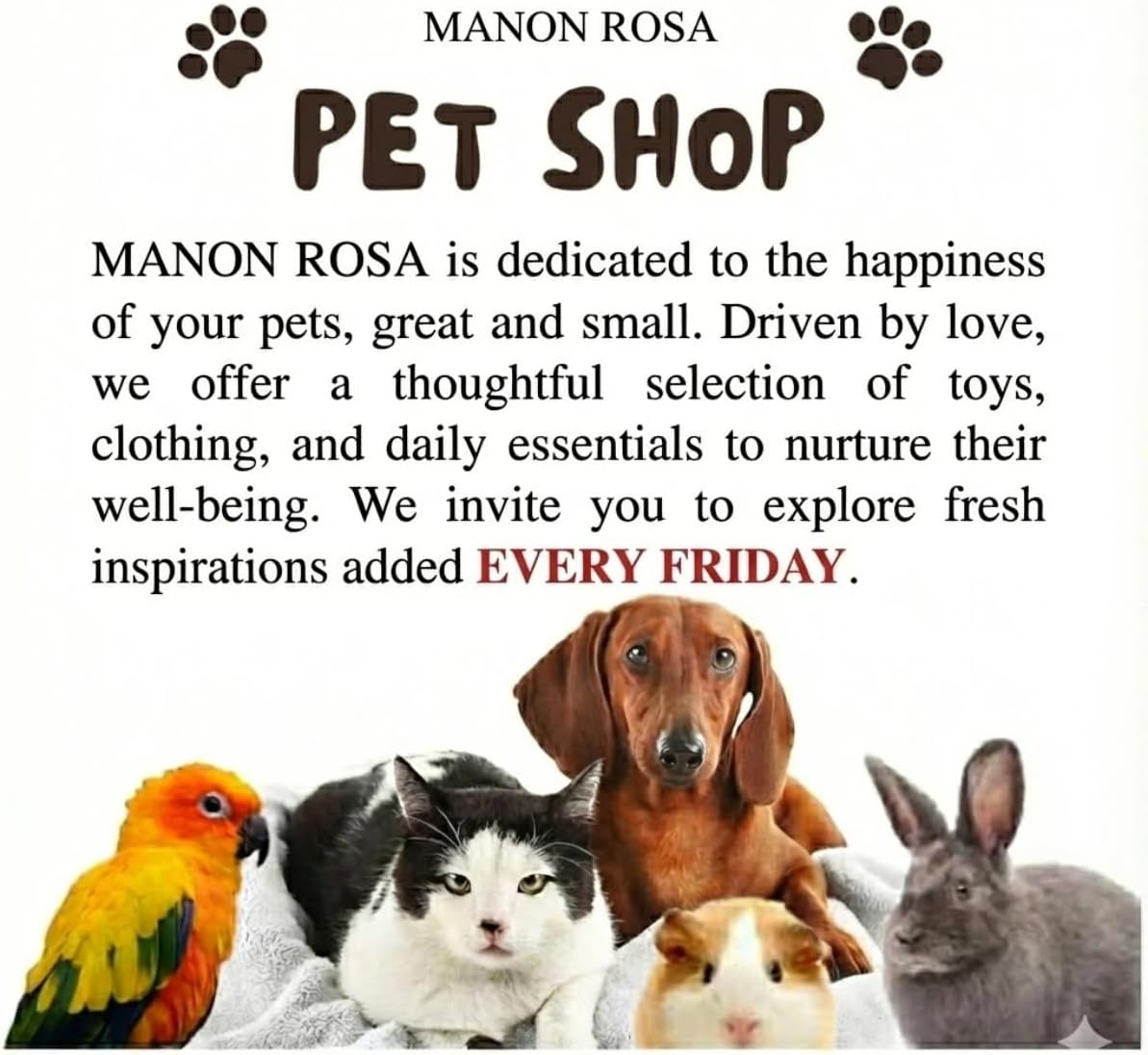 MANON ROSA Rabbit Harness and Leash Set - Escape-Proof Adjustable Vest Harness for Dwarf Bunnies, Soft Padded Conejos Collar with Safety Buckle, Small Animal Walking Accessories