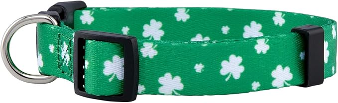 Native Pup St Patricks Dog Collar- Saint Patrick Green Shamrock Pet Collars- - Image 2