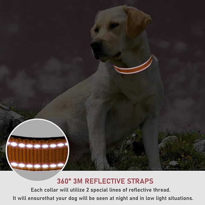 Reflective Dog Collar with Buckle Adjustable Safety Nylon Collars - Image 4