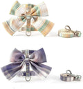 Adjustable Pet Harness and Leash Set, Butterfly Knot Safety Vest