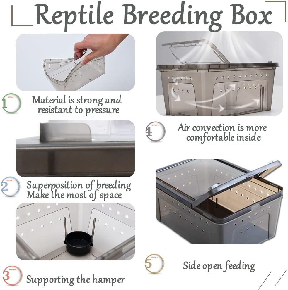 Reptile Hideouts Natural Coconut Shells Hut Hermit Crab Climbing Toys and 2PCS Reptile Feeding Box Snake Breeding Box Transparent Animal Habitat for Bearded Dragon Lizard Spider Frog Scorpio