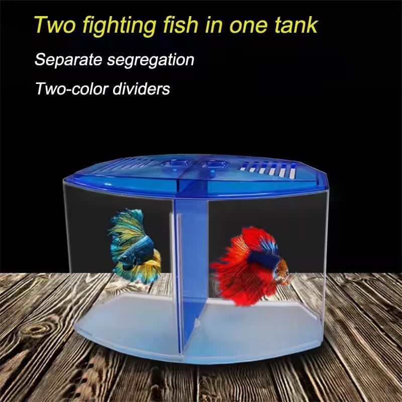 EatingBiting Large Double Compartment Fighting Fish Box Eco Rumble Fish Aquarium Mini Aquarium Plastic Isolation Box Breeding Box Transparent Betta Fish Tank