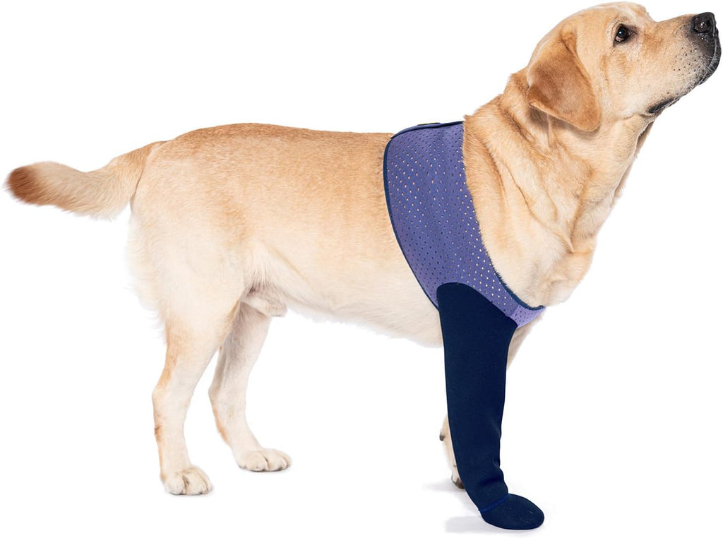 COODEO Dog Socks to Prevent Licking Paws, Healing Boots & Paw Protectors with Non-Slip Bottoms for Wound Protection, Waterproof Sleeve Shoes for Licking（Blue，M_Right