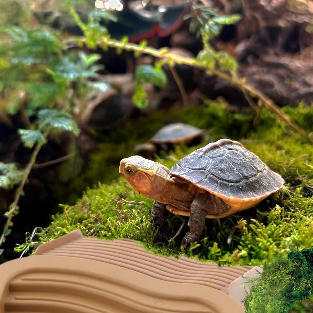 Large Reptile Bathing Pool Turtle Food Water Bowls with Ramp Aquarium Ornament for Turtle Horned Frog Lizard Gecko Snake (Brown)