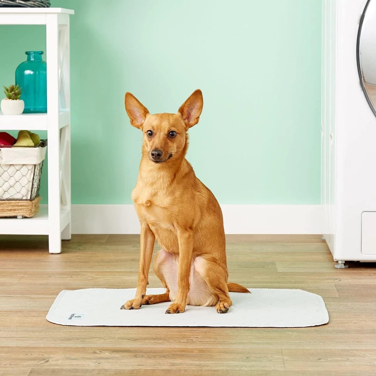 Pet Parents Pawtect® Pads Washable Dog Pee Pads (2pack) of 18x24 Premium Pee Pads for Dogs, Waterproof Training Pads for Dogs & Reusable Dog Pee Pads! Whelping & Modern Puppy Pads!