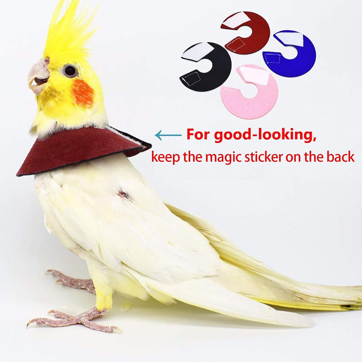 QBLEEV 4Pack Parrot Anti-bite E-Collars, Anti-Grab Feather Plucking Collars