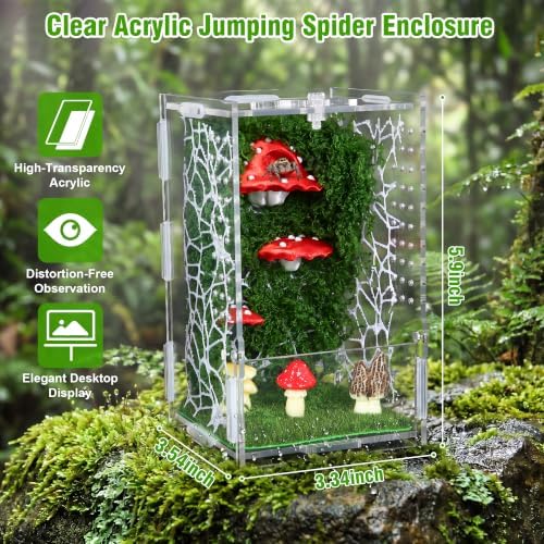 Jumping Spider Enclosure, Clear Acrylic Escape-Proof Terrarium with Micro Vents & Front Opening + 6 Pcs Magnetic Mushroom Styling Platform Accessories for Jumping Spiders, Tarantulas & Mantis