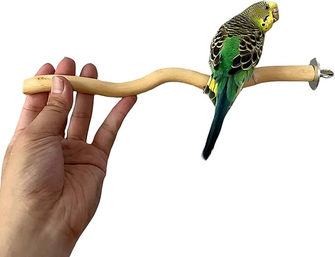 Allazone 5 PCS Natural Parrot Perch Bird Stand Wooden Parrot Perch Stand - Image 5