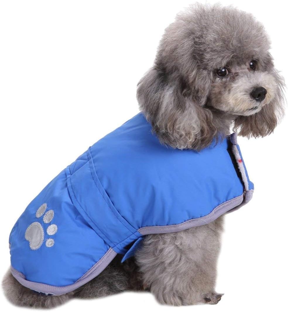 Queenmore Dog Winter Coat, Cold Weather Dog Jackets for Samll Dogs
