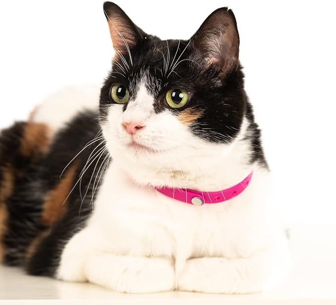 5 Pack Breakaway Cat Collar - Image 7