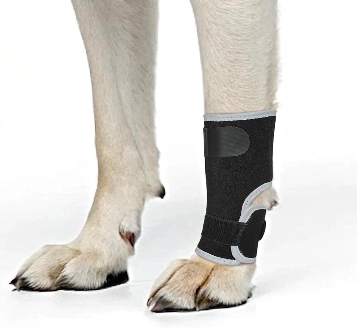 Dog Wound Care Front Legs Hock Wrap Compression Providing Stability M