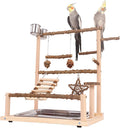 Bird Playground Parrot Perch Play Stand, Natural Wood Parakeet Playstand Cockatiel Toys, Budgie Play Gym & Cage Accessories - Removable Stainless Steel Tray, 2 Feeder Cups, Ladders & Swings