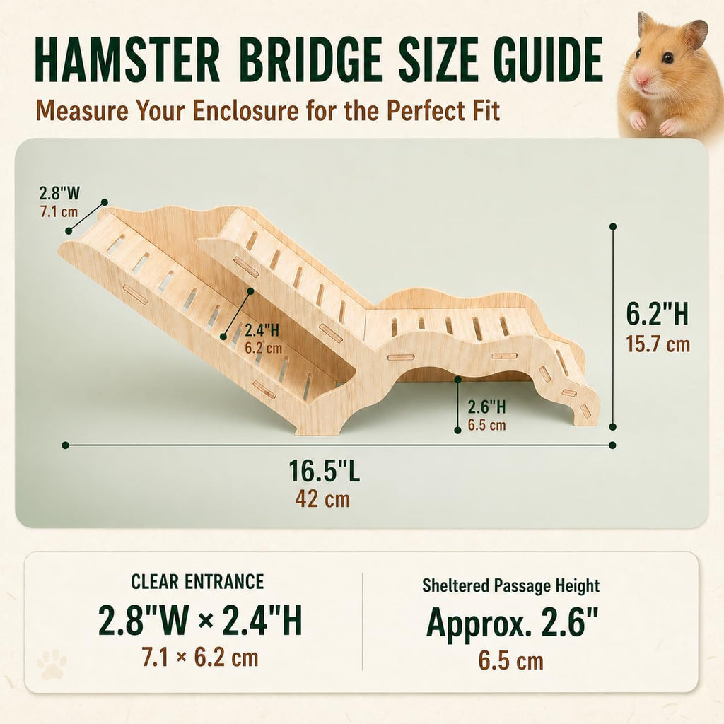 Large Size Syrian Hamster Explorer Set - Snap-Together Wooden Burrow with Panoramic Window,Natural Chew-Safe Design Decorative Landscaping Digging Peeping Hide Underground Fun for Cage Enrichment