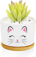 Window Garden Cat Planter Pots, Cat Loves Gifts by Databa