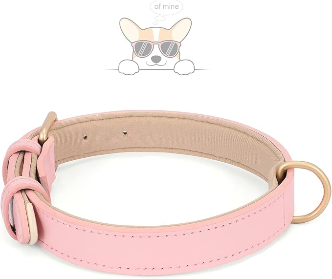 WHIPPY Leather Dog Collar for Small Medium Large Dog Adjustable Soft Breathable - Image 3