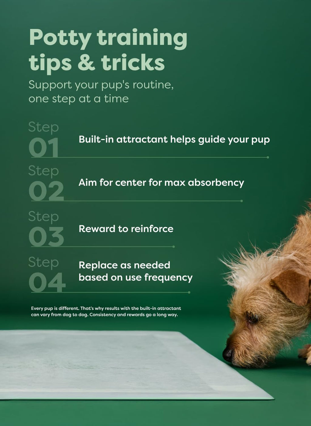 Earth Rated Regular [L] Puppy Pee Pads, Discreet Top, Max Absorbency, 75CT