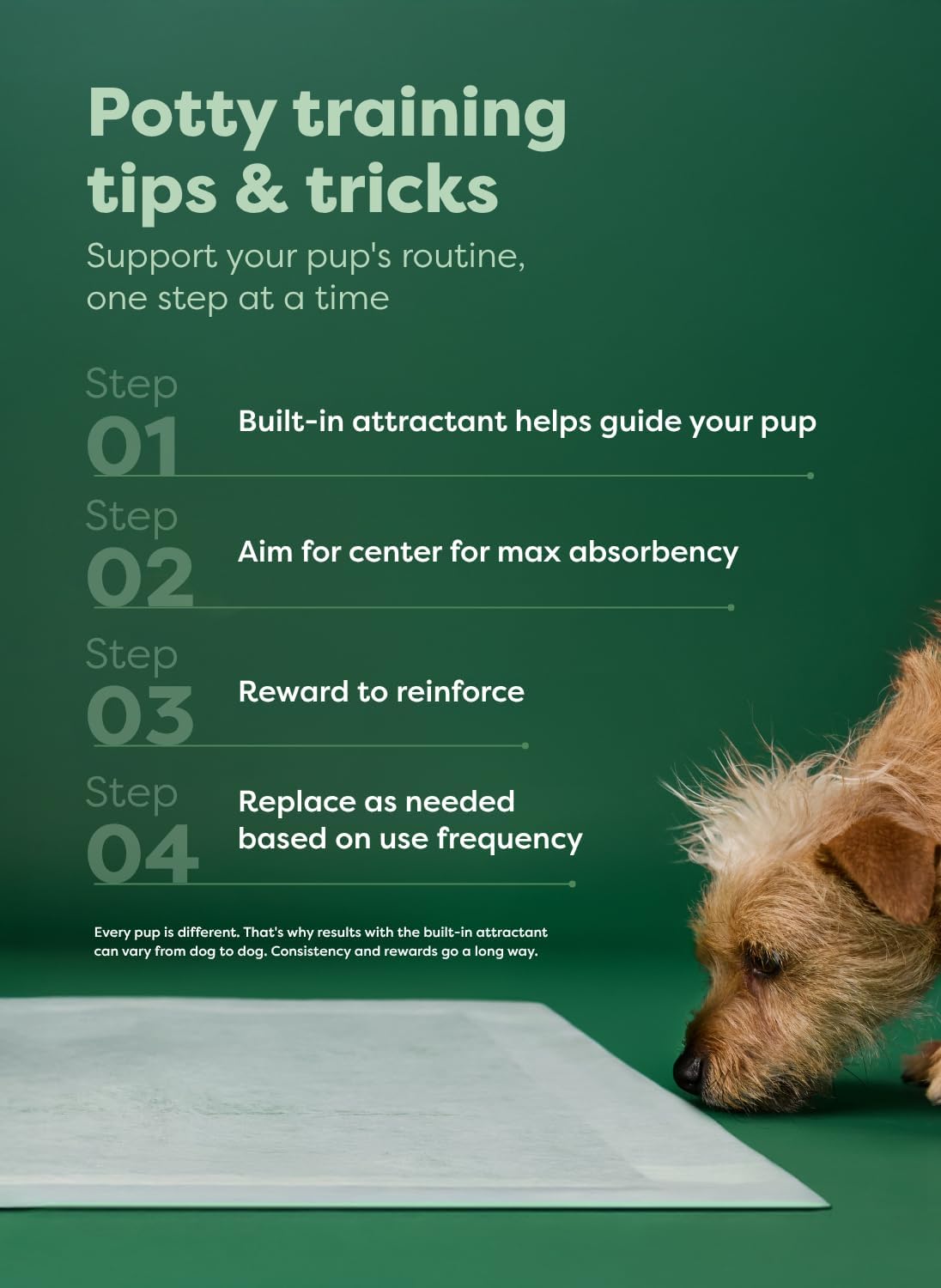 Earth Rated Regular [L] Puppy Pee Pads, Discreet Top, Max Absorbency, 75CT